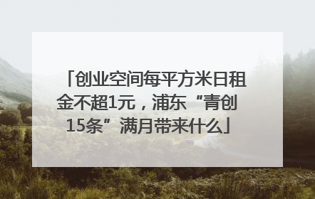 创业空间每平方米日租金不超1元，浦东“青创15条”满月带来什么
