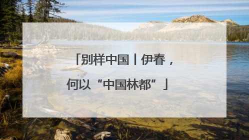 别样中国丨伊春，何以“中国林都”