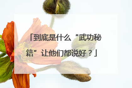 到底是什么“武功秘籍”让他们都说好？