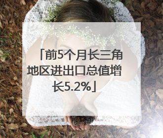 前5个月长三角地区进出口总值增长5.2%