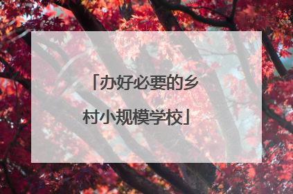 办好必要的乡村小规模学校