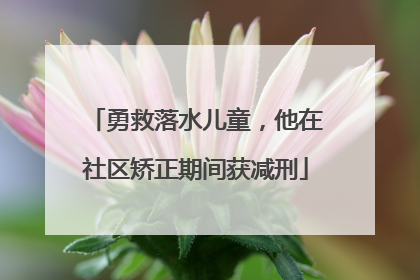 勇救落水儿童，他在社区矫正期间获减刑
