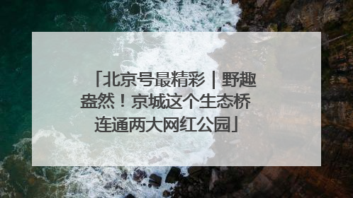 北京号最精彩｜野趣盎然！京城这个生态桥连通两大网红公园