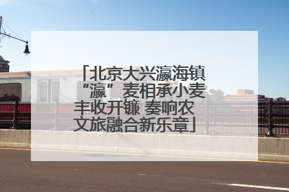 北京大兴瀛海镇“瀛”麦相承小麦丰收开镰 奏响农文旅融合新乐章