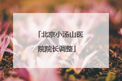 北京小汤山医院院长调整