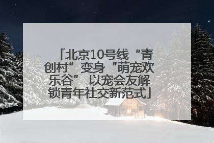 北京10号线“青创村”变身“萌宠欢乐谷” 以宠会友解锁青年社交新范式