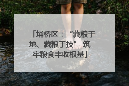 埇桥区：“藏粮于地、藏粮于技” 筑牢粮食丰收根基