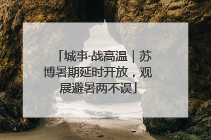 城事·战高温｜苏博暑期延时开放，观展避暑两不误