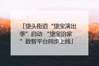垡头街道“垡宝演出季”启动 “垡宝治家”数智平台同步上线