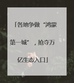 各地争做“鸿蒙第一城”，抢夺万亿生态入口