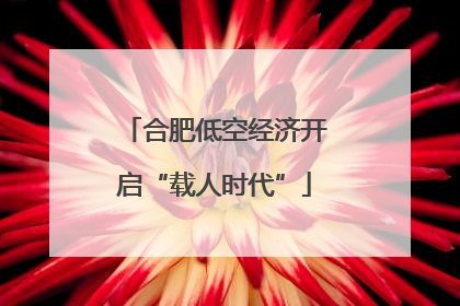 合肥低空经济开启“载人时代”