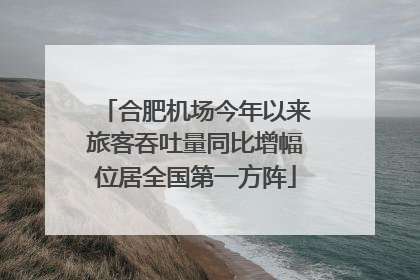 合肥机场今年以来旅客吞吐量同比增幅位居全国第一方阵