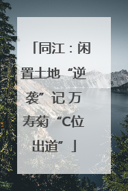 同江：闲置土地“逆袭”记 万寿菊“C位出道”