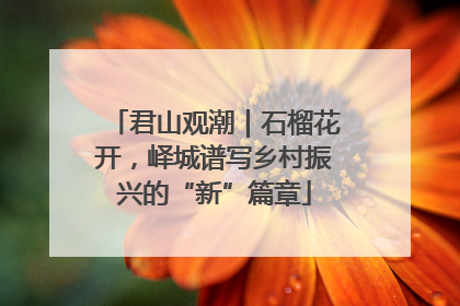 君山观潮｜石榴花开，峄城谱写乡村振兴的“新”篇章