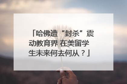 哈佛遭“封杀”震动教育界 在美留学生未来何去何从？
