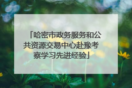 哈密市政务服务和公共资源交易中心赴豫考察学习先进经验