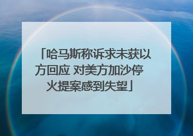 哈马斯称诉求未获以方回应 对美方加沙停火提案感到失望