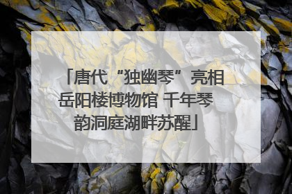 唐代“独幽琴”亮相岳阳楼博物馆 千年琴韵洞庭湖畔苏醒