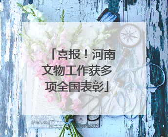 喜报！河南文物工作获多项全国表彰