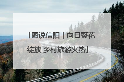 图说信阳｜向日葵花绽放 乡村旅游火热