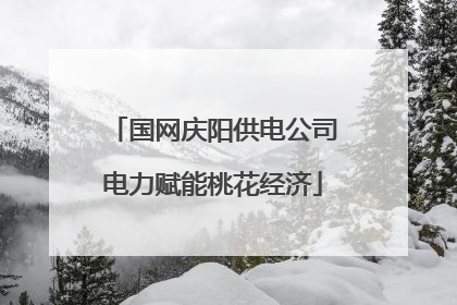 国网庆阳供电公司电力赋能桃花经济