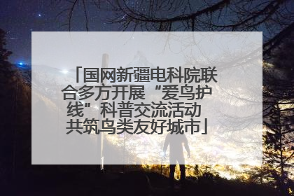 国网新疆电科院联合多方开展“爱鸟护线”科普交流活动 共筑鸟类友好城市