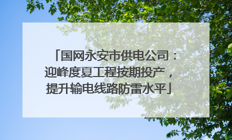 国网永安市供电公司：迎峰度夏工程按期投产，提升输电线路防雷水平