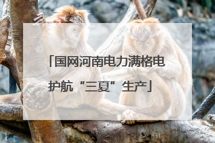 国网河南电力满格电护航“三夏”生产