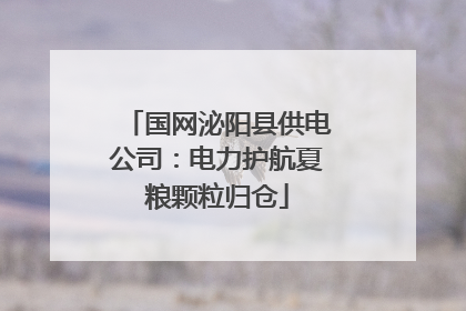 国网泌阳县供电公司：电力护航夏粮颗粒归仓