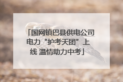 国网镇巴县供电公司 电力“护考天团”上线 温情助力中考
