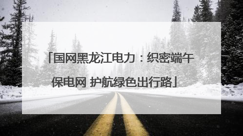 国网黑龙江电力：织密端午保电网 护航绿色出行路