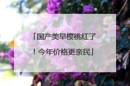 国产美早樱桃红了！今年价格更亲民