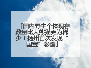 国内野生个体现存数量比大熊猫更为稀少！扬州首次发现“国宝”彩鹮