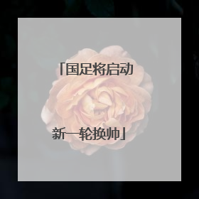 国足将启动新一轮换帅