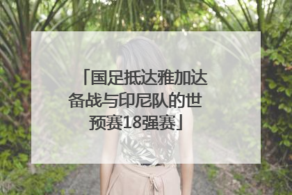 国足抵达雅加达备战与印尼队的世预赛18强赛