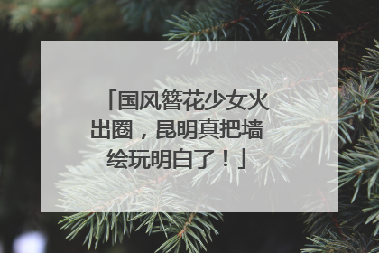 国风簪花少女火出圈，昆明真把墙绘玩明白了！