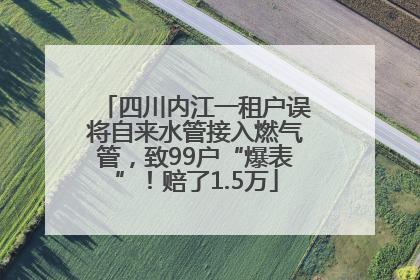 四川内江一租户误将自来水管接入燃气管，致99户“爆表”！赔了1.5万