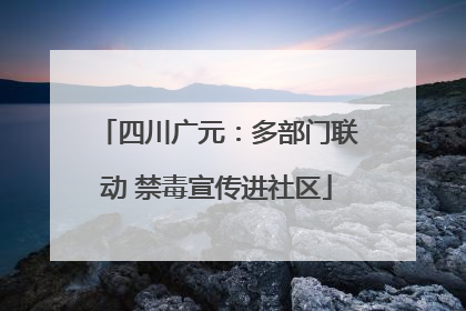 四川广元：多部门联动 禁毒宣传进社区