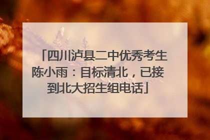 四川泸县二中优秀考生陈小雨：目标清北，已接到北大招生组电话