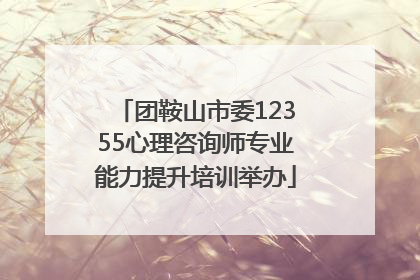 团鞍山市委12355心理咨询师专业能力提升培训举办