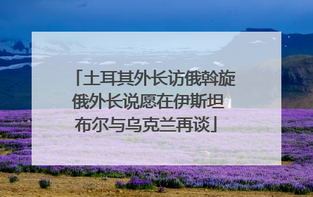 土耳其外长访俄斡旋 俄外长说愿在伊斯坦布尔与乌克兰再谈