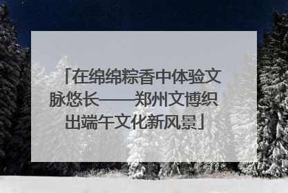 在绵绵粽香中体验文脉悠长——郑州文博织出端午文化新风景