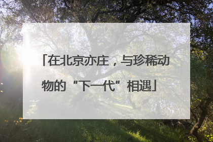 在北京亦庄，与珍稀动物的“下一代”相遇