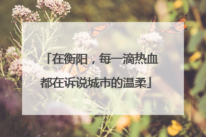 在衡阳，每一滴热血都在诉说城市的温柔