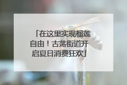 在这里实现榴莲自由！古荡街道开启夏日消费狂欢