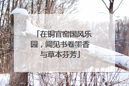 在铜官窑国风乐园，闻见书卷墨香与草本芬芳