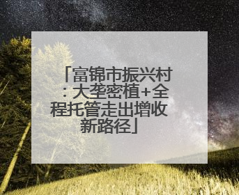 富锦市振兴村：大垄密植+全程托管走出增收新路径