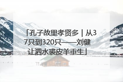 孔子故里孝贤多｜从37只到320只——刘健让泗水裘皮羊重生