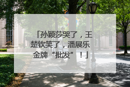孙颖莎哭了，王楚钦笑了，潘展乐金牌“批发”！
