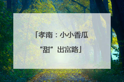 孝南：小小香瓜 “甜”出富路